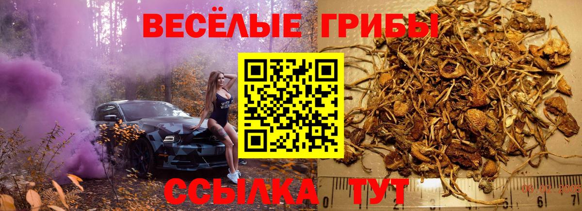 Псилоцибиновые грибы ЛСД Балтийск