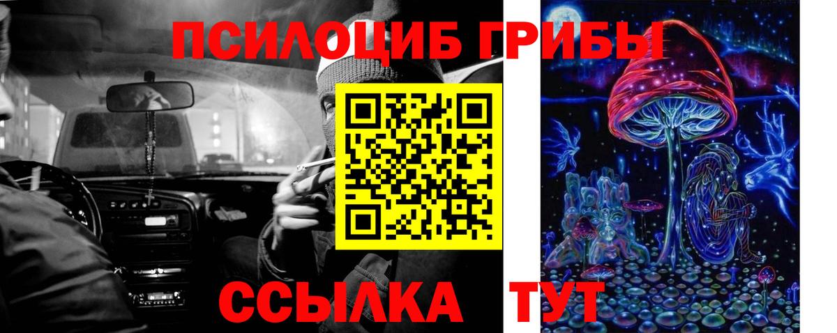 Псилоцибиновые грибы MAGIC MUSHROOMS  Вход с VPN  Балтийск 
